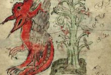 drache