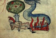 salamander